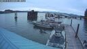 ./images/quadra/hbidock/20250725/hbidock20250725_052500M.jpg