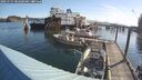 ./images/quadra/hbidock/20250725/hbidock20250725_082500M.jpg