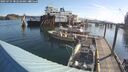 ./images/quadra/hbidock/20250725/hbidock20250725_082510M.jpg