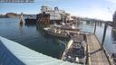 ./images/quadra/hbidock/20250725/hbidock20250725_083000M.jpg