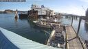 ./images/quadra/hbidock/20250725/hbidock20250725_083011M.jpg