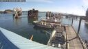 ./images/quadra/hbidock/20250725/hbidock20250725_083500M.jpg