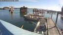 ./images/quadra/hbidock/20250725/hbidock20250725_083508M.jpg