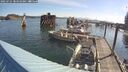./images/quadra/hbidock/20250725/hbidock20250725_084010M.jpg