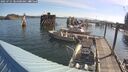 ./images/quadra/hbidock/20250725/hbidock20250725_084500M.jpg