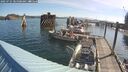 ./images/quadra/hbidock/20250725/hbidock20250725_085000M.jpg