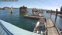 ./images/quadra/hbidock/20250725/hbidock20250725_092011M.jpg