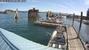 ./images/quadra/hbidock/20250725/hbidock20250725_093000M.jpg