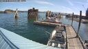 ./images/quadra/hbidock/20250725/hbidock20250725_094010M.jpg