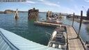 ./images/quadra/hbidock/20250725/hbidock20250725_094510M.jpg