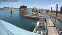 ./images/quadra/hbidock/20250725/hbidock20250725_104500M.jpg