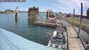 ./images/quadra/hbidock/20250725/hbidock20250725_113011M.jpg