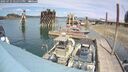 ./images/quadra/hbidock/20250725/hbidock20250725_141511M.jpg