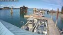 ./images/quadra/hbidock/20250725/hbidock20250725_160012M.jpg