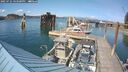 ./images/quadra/hbidock/20250725/hbidock20250725_163500M.jpg