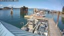 ./images/quadra/hbidock/20250725/hbidock20250725_163510M.jpg
