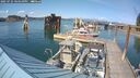 ./images/quadra/hbidock/20250725/hbidock20250725_164010M.jpg