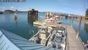./images/quadra/hbidock/20250725/hbidock20250725_164511M.jpg