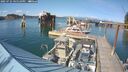./images/quadra/hbidock/20250725/hbidock20250725_165511M.jpg