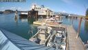 ./images/quadra/hbidock/20250725/hbidock20250725_170012M.jpg