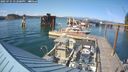 ./images/quadra/hbidock/20250725/hbidock20250725_172000M.jpg