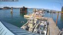 ./images/quadra/hbidock/20250725/hbidock20250725_172500M.jpg