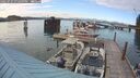 ./images/quadra/hbidock/20250725/hbidock20250725_192509M.jpg
