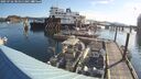 ./images/quadra/hbidock/20250726/hbidock20250726_081011M.jpg