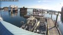 ./images/quadra/hbidock/20250726/hbidock20250726_082011M.jpg