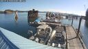 ./images/quadra/hbidock/20250726/hbidock20250726_090010M.jpg