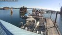 ./images/quadra/hbidock/20250726/hbidock20250726_090500M.jpg