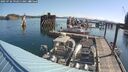 ./images/quadra/hbidock/20250726/hbidock20250726_092011M.jpg