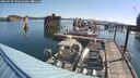 ./images/quadra/hbidock/20250726/hbidock20250726_092510M.jpg
