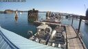 ./images/quadra/hbidock/20250726/hbidock20250726_093011M.jpg