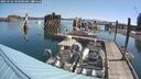 ./images/quadra/hbidock/20250726/hbidock20250726_102500M.jpg