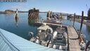 ./images/quadra/hbidock/20250726/hbidock20250726_103011M.jpg