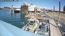 ./images/quadra/hbidock/20250726/hbidock20250726_135010M.jpg