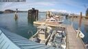 ./images/quadra/hbidock/20250726/hbidock20250726_163508M.jpg