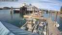 ./images/quadra/hbidock/20250726/hbidock20250726_171000M.jpg