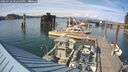 ./images/quadra/hbidock/20250726/hbidock20250726_172510M.jpg