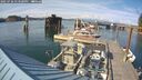 ./images/quadra/hbidock/20250726/hbidock20250726_173500M.jpg