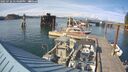 ./images/quadra/hbidock/20250726/hbidock20250726_174000M.jpg
