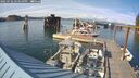 ./images/quadra/hbidock/20250726/hbidock20250726_174510M.jpg