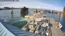 ./images/quadra/hbidock/20250726/hbidock20250726_175011M.jpg