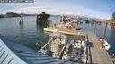 ./images/quadra/hbidock/20250726/hbidock20250726_180012M.jpg