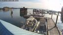 ./images/quadra/hbidock/20250727/hbidock20250727_080011M.jpg