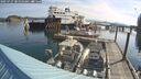./images/quadra/hbidock/20250727/hbidock20250727_085010M.jpg