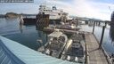 ./images/quadra/hbidock/20250727/hbidock20250727_090000M.jpg