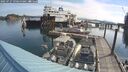 ./images/quadra/hbidock/20250727/hbidock20250727_090500M.jpg