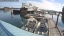 ./images/quadra/hbidock/20250727/hbidock20250727_091011M.jpg